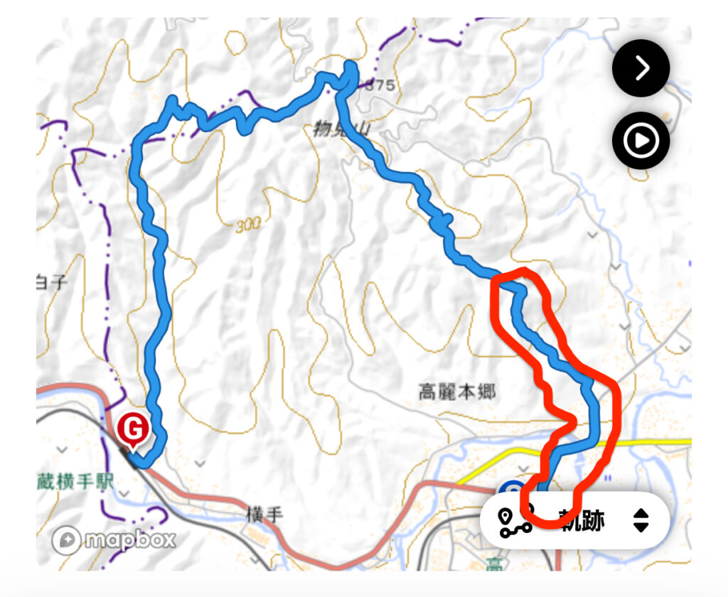 高麗駅 → 登山口 → 男坂 → 日和田山