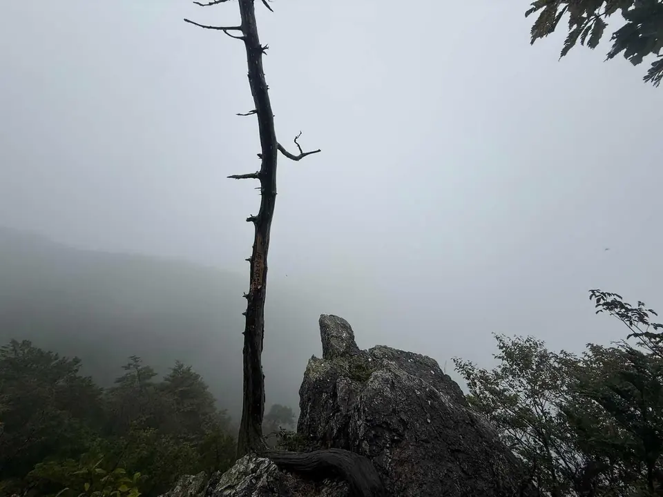 登山ログ|芦ヶ久保から武甲山へ、約9時間の縦走
