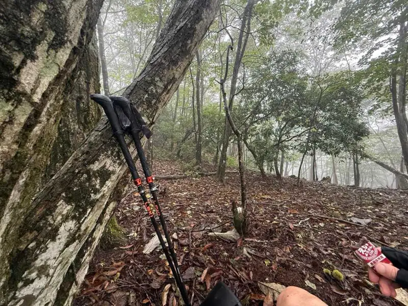 雨の山道で、ポールに助けられた