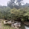川でクールダウンする時間がよかった