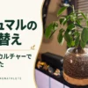 ガジュマルをハイドロカルチャーで植え替え。買ったときの深さを目安に